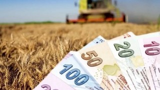 Çiftçiye Büyük Destek: Tarım ve Orman Bakanlığı'ndan 5.1 Milyar TL Ödeme Başladı!