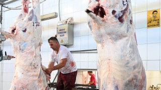Dana ve Kuzu Etinde Düşüş Sürüyor