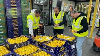 Ege'den İngiltere'ye İhracat Çıkarması