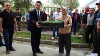 Eskişehir'de Tarıma Çifte Bayram! %75'e Varan Hibe Desteğiyle Domates ve Zeytin Fidesi Dağıtıldı!