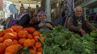 İstanbul’a Nisan Ayında 205 Bin Ton Yaş Meyve ve Sebze Getirildi