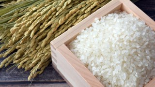 Japonya’da Pirinç Fiyatları Rekor Kırdı