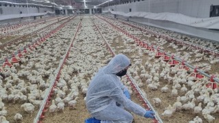 Keskinoğlu'ndan 14 Mayıs Mesajı: Çiftçilerimiz Birer İş İnsanı, Kırsal Kalkınmanın Gizli Kahramanları!