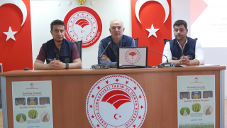 Kuraklığa Dayanıklı Buğday Tohumu Tanıtıldı