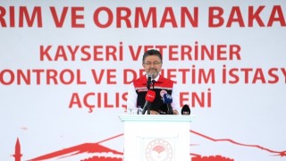 Kurban Bayramı'nda Rekor Arz: Büyükbaşta %60, Küçükbaşta %55 Artış