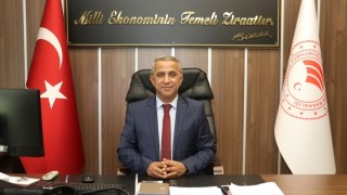 Samsun'da 'Ölümcül' Kene Uyarısı! KKKA Vakaları Artıyor, Müdür Sağlam Açıkladı: İşte Hayat Kurtaran Önlemler