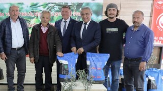 Samsun'da Zeytin Yetiştiriciliğine Devlet Desteğiyle Yeni Bir Soluk