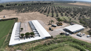 Balıkesir'den Can Dostlara Modern Yuva