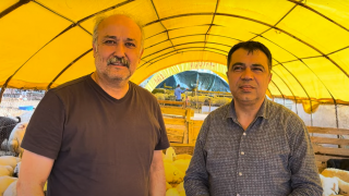 Besicinin Bayramı Yok: Hayvan Satılmıyor, Destek Yetmiyor, Deri Çürüyor