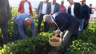 Büyükşehir'den Çiftçiye Kapsamlı Destek Yağmuru!