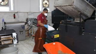 Can Dostlar İçin Milyonluk Tasarruf Sağlayan Mama Üretimi!