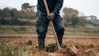 Çiftçiler Neden İç Çamaşırlarını Toprağa Gömüyor? Sebebi Bilimsel!