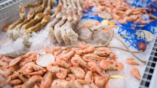FAO: 2025'te Küresel Su Ürünleri Üretimi Artacak