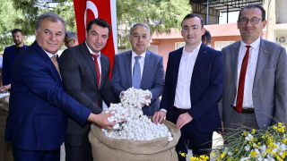 İzmir'de İpekböceği Üretimi Coşkusu