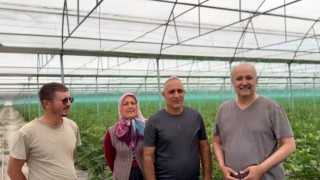 Konya Ereğli'den Türkiye Sofralarına: Ünlü Ailesi Seracılıkta Örnek Oluyor