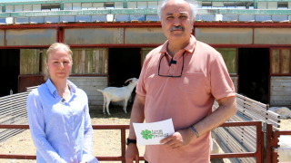 Konya'dan Bir Başarı Hikayesi: Madalı Keçi Çiftliği, Anne Sütüne En Yakın Ürünü Sunuyor