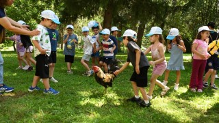 Minik Kalplerden Tarım ve Orman Müdürlüğüne Ziyaret: Hem Eğlendiler Hem Öğrendiler