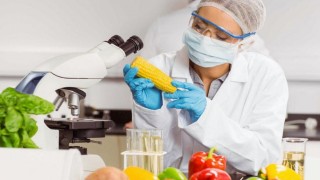 Rekabet Kurumu, Üç Gıda Kontrol Laboratuvarına Fiyat Tespiti Nedeniyle Para Cezası Verdi