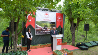 Tarımsal Üretime Dev Hibe: Yüz Binlerce Fide ve Tohum Çiftçiye Ulaştı!