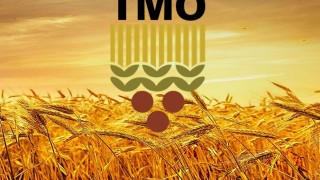 TMO Hububat Alımlarında 1 Milyon Ton Eşiğini Aştı