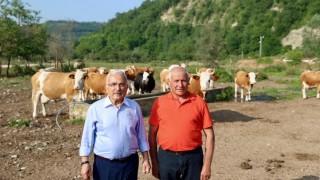Yem Desteği Süt Verimini Uçurdu