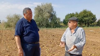 Niğde'de Patates Üreticisi İsyan Etti