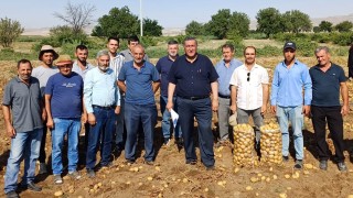 Patates Üreticisi Derin Krizde: Gürer'den İhracat Engellerine Çözüm Çağrısı