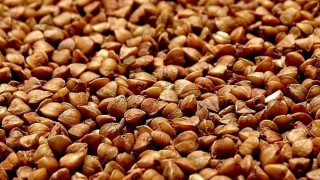 Rusya'dan Tunus'a Tarihi Karabuğday İhracatı
