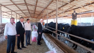 TZOB Başkanı Bayraktar'dan Şap Hastalığı Uyarısı: "2025 Tarım İçin Afet Yılı Oldu!"