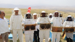 Ağrı'da Kadın Arıcılardan Bal Hasadı