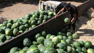 Antalya Karpuz Üretiminde Türkiye Birinciliğine Oynuyor