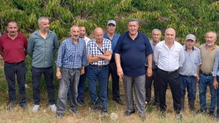 Bahçelerde Bir Tane Kiraz Dahi Yok