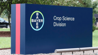 Bayer, Glifosat Davalarını 2026 Sonuna Kadar Sınırlamayı Hedefliyor