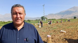 Çiftçinin Derdi Bitmiyor: “Tarım Kenti” Niğde’de Üreticiler Zor Durumda