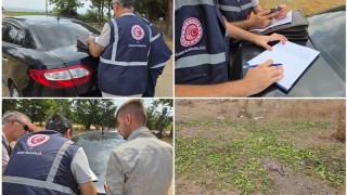 Hayvan Yemi Olan Biberler İçin İdari Süreç Başladı