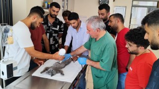 Kars'ta Suni Tohumlama Kursu Başarıyla Tamamlandı