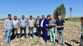 Patates Üreticisinin Feryadı: "8 Lira Maliyetle Patates Çöp Oluyor"