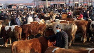Son Dakika… 24 İlde Hayvan Pazarları Yeniden Açıldı