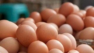 Tavuk Eti Üretimi Haziran'da Yükseldi, Yumurta Üretimi Düştü