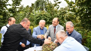 Trabzon'da Fındık Üretiminde Hedef: Dönüm Başına 200 Kilo Verim