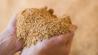 USDA: Küresel Soya Küspesi Ticareti 2025/26 Sezonunda Rekor Kıracak