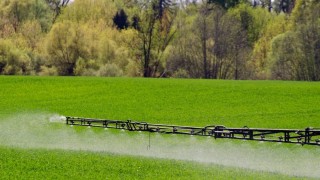 Brezilya'da Mahkeme Kararı: 2,4-D Herbisitine Kısmi Yasak Geldi