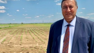 CHP’li Gürer: 22 yılda 2,5 milyon hektar tarım arazisi kayboldu