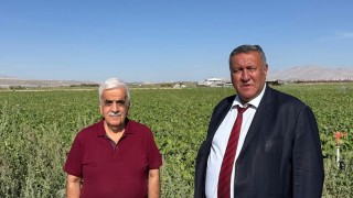 CHP’li Gürer’den Tarım Bakanlığı’na çağrı: Şeker pancarı alım fiyatı açıklansın