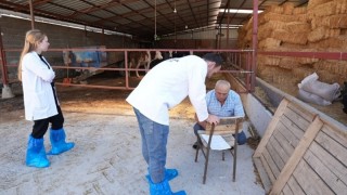 Denizli Büyükşehir Belediyesi Çivril’de Hayvancılık Danışmanlığını Başlattı