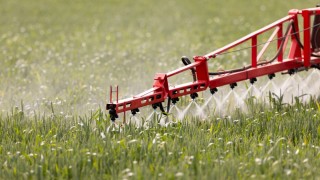 İsviçre, PFAS ve pestisit araştırmasını bütçe kesintileri nedeniyle durdurdu