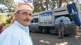 İzmir Büyükşehir’den Yangın Bölgelerine 47,5 Ton Yem Desteği