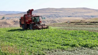 Kayseri Pancar Ekicileri İlk Sökümde Çiftçilerle Buluştu