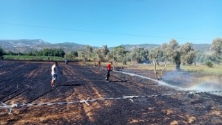Muğla'da Anız Yangınları Toprağa ve Doğaya Büyük Zarar Veriyor
