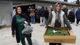 Ordu Büyükşehir’den 6 Yılda 4,58 Milyon Sebze Fidesi Dağıtımı
